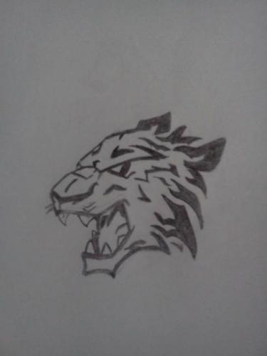tribal tiger