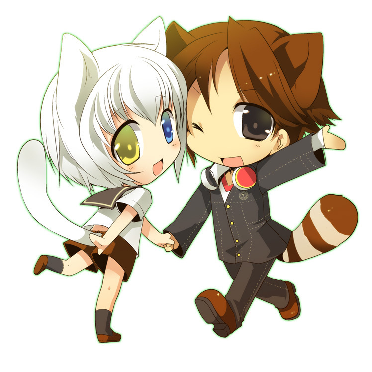 cute chibi cat and racoon