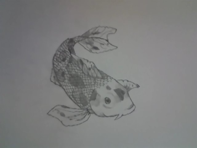 Koi fish painting start