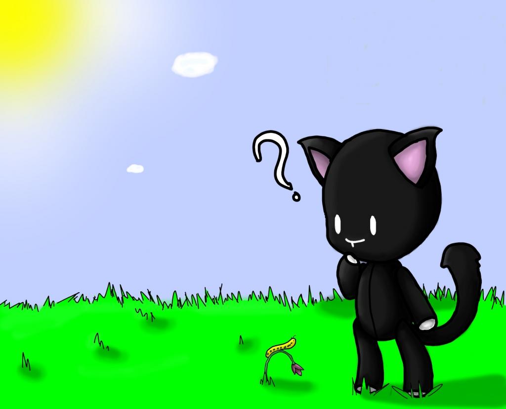 Mr.Mew
