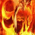 -Fire-Wolf-