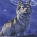 Frostwolf1
