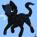 Clovercat