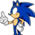 sonicgut987