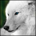 Dawn222