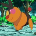 温子 Atsuko Bear