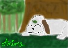 Akamaru