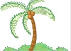 How to Draw a Palm Tree