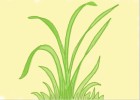 How to Draw Grass