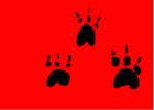 Puppy Paw Prints