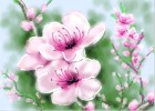 How to Draw Peach Blossom