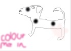 Spotty Dog