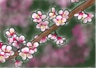 How to Draw Cherry Blossoms