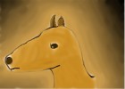 How to Draw a Horses Head