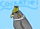 My Cockatiel