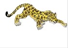 How to Draw a Jaguar