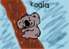 Cut Koala