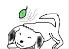 Akamaru 2