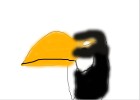 Toucan/Penguin