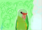 How to Draw a Parrot