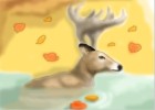 How to Draw a Deer Swimming
