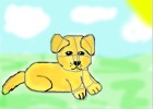 Practice How to Draw a Puppy