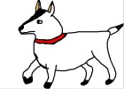 How to Draw a Bull Terrier