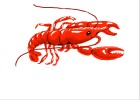 How to Draw a Lobster