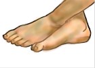 How to Draw Feet