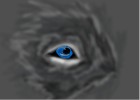 How to Draw a Wolf'S Eye