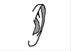 How to Draw an Ear