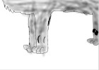 How to Draw Paws