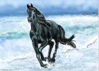 How to Draw a Horse Galloping Through Surf