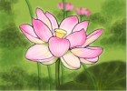 How to Draw a Lotus