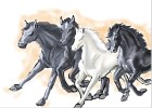 How to Draw Horses