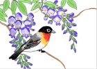 How to Draw a Bird Among Blossoms