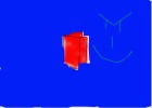 How to Create an Optical Illusion(Wallet, Book)
