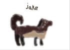 Jake The Dacshund