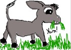 How to Draw a Donkey Kid