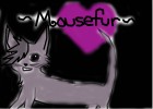 Mousefur--- For Dragon_Kitty
