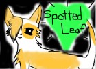 Spottedleaf --- For Scourge435