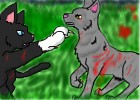 How to Draw Graystripe And Scourge Fighting