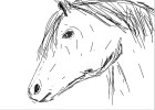 How to Draw a Horses Head