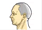 How to Draw a Head