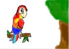 How to Draw a Parrot