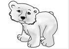How To: Polar Bear Cub