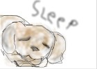 How to Draw a Cocker Spaniel (Fail)