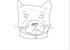 How to Draw an American Bulldog