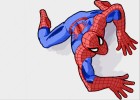 How to Draw Spider Man from Spider Man