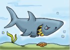 How to Draw a Shark